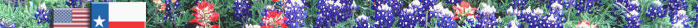 Texas State Flower (Lupine oder blaues Häubchen)