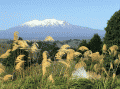 Mount-Ruapehu