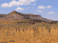 Kimberley-Plateau